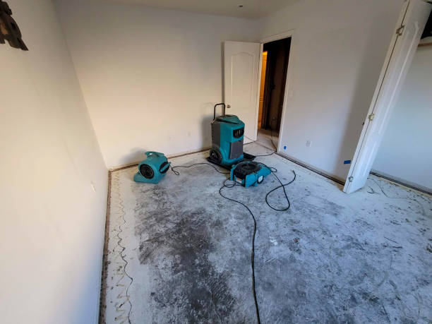 Best Basement water damage restoration  in Galax, VA