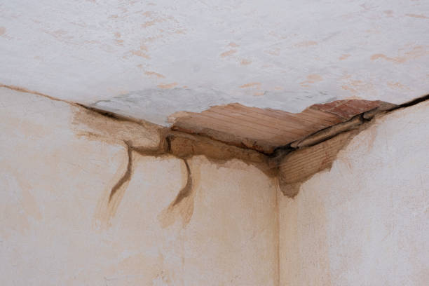 Best Water damage cleanup near me  in Galax, VA