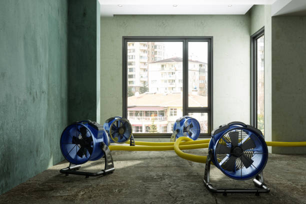 Best Carpet water damage restoration  in Galax, VA